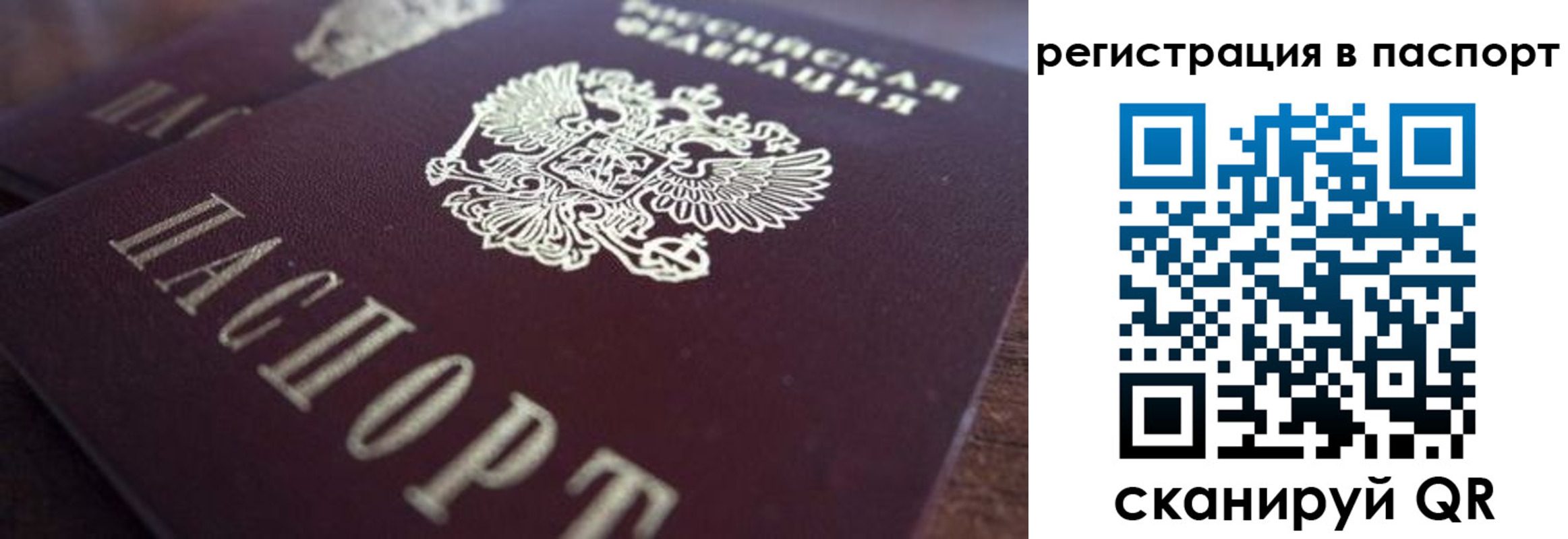 прописка 2025 в Михайловске